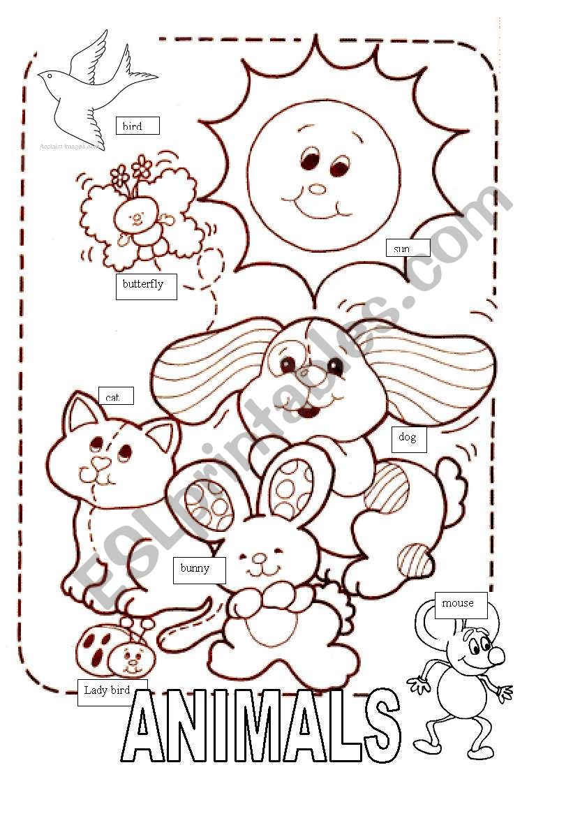 ANIMALS COLOUR IN worksheet