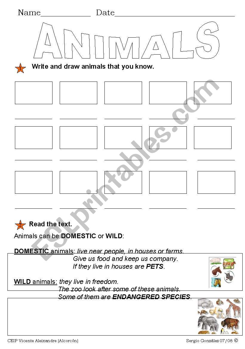 wild and domestic animals worksheet