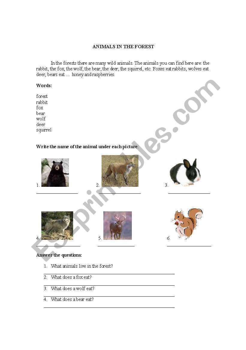 Animals in the forest worksheet