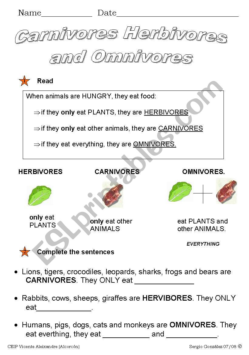 What do animals eat? - ESL worksheet by cenal