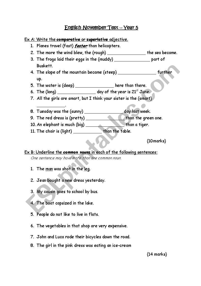 English Worksheet worksheet