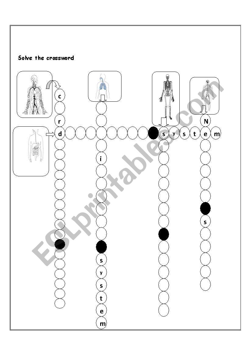 Human body system crossword worksheet