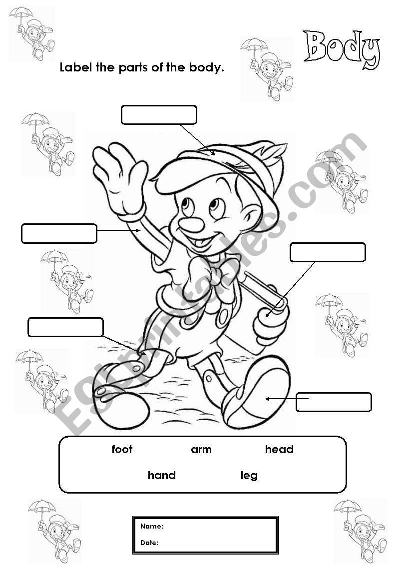 Body labelling worksheet