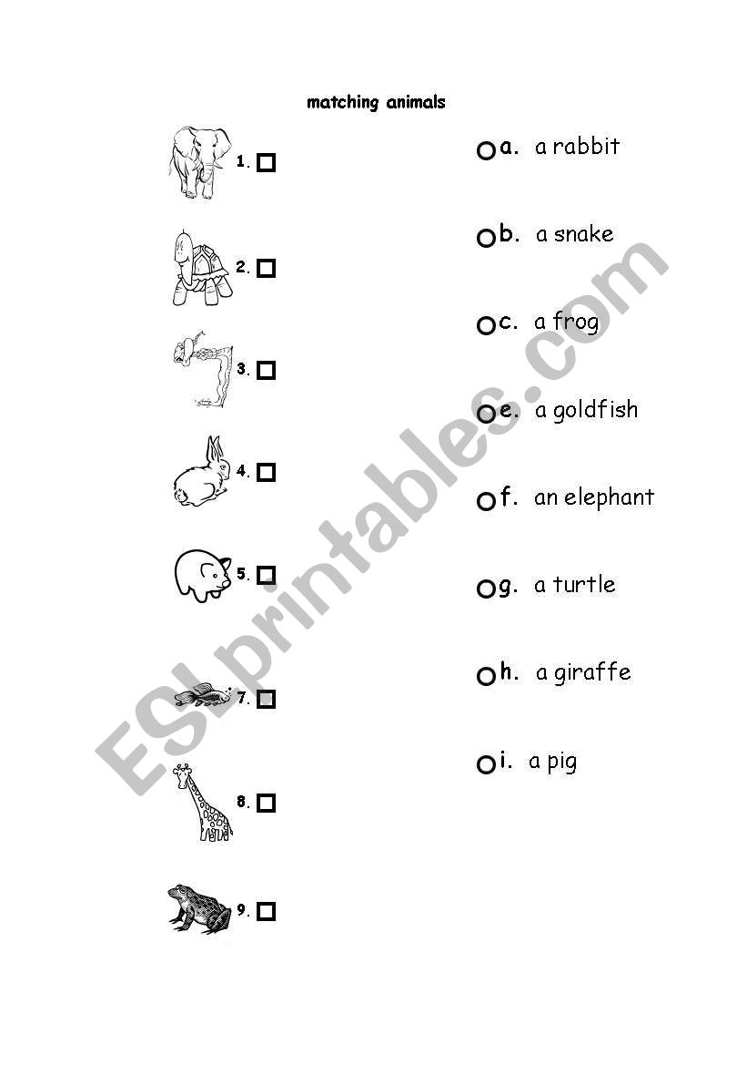 MATCHING ANIMALS worksheet