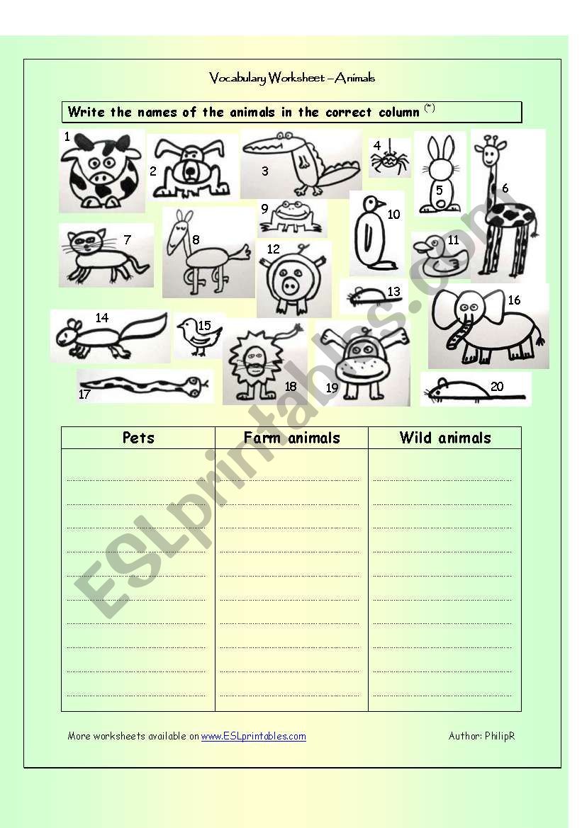 animal worksheet