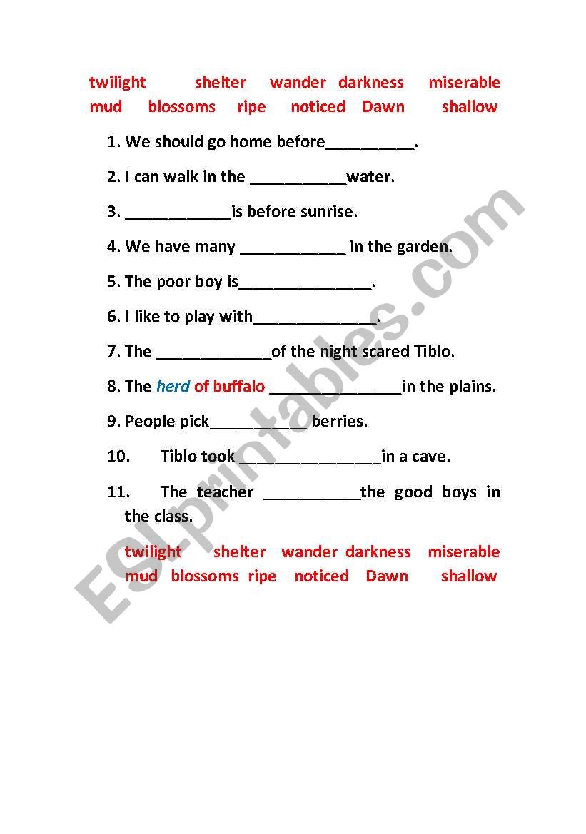 VOCABULARY worksheet