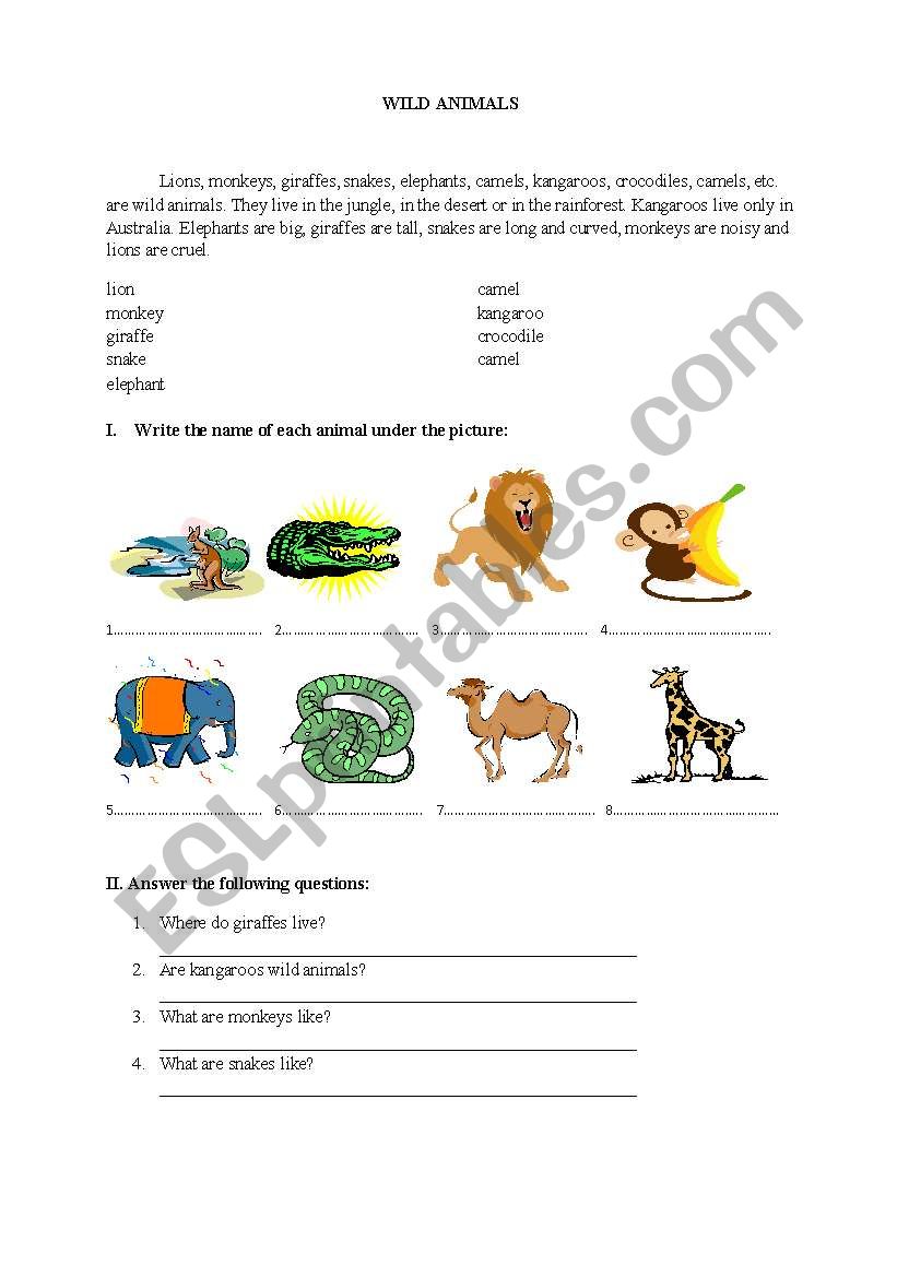 wild animals worksheet