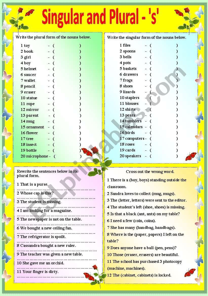 SINGULAR AND PLURAL -