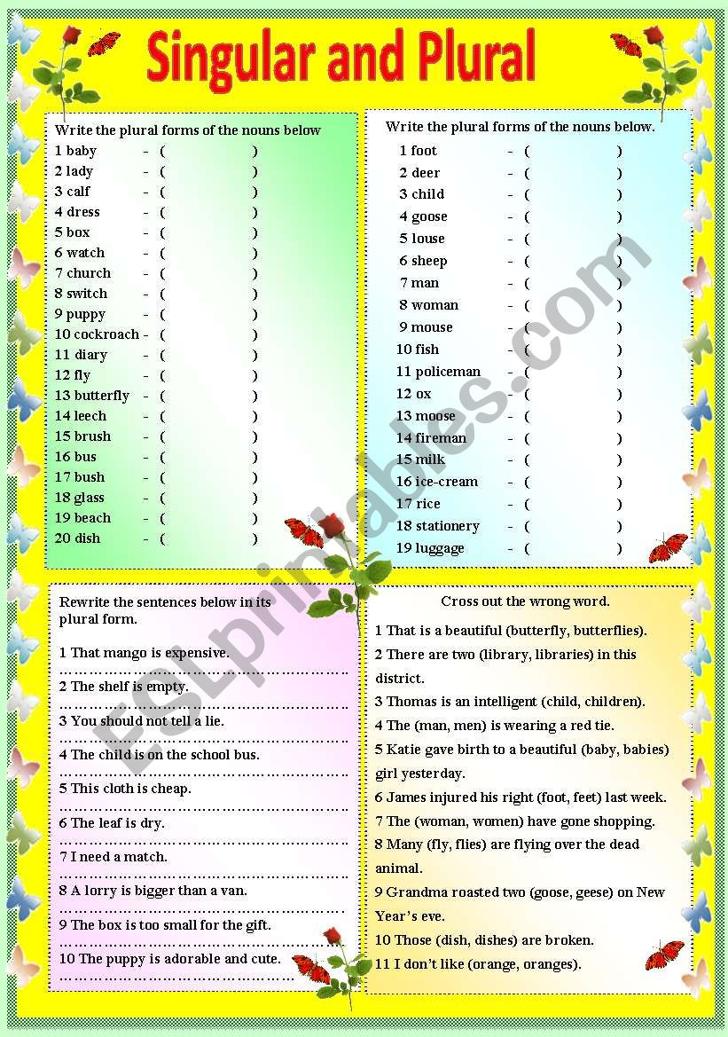 SINGULAR AND PLURAL -