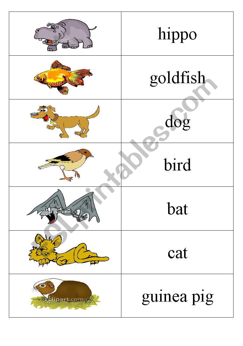 Animals puzzles worksheet