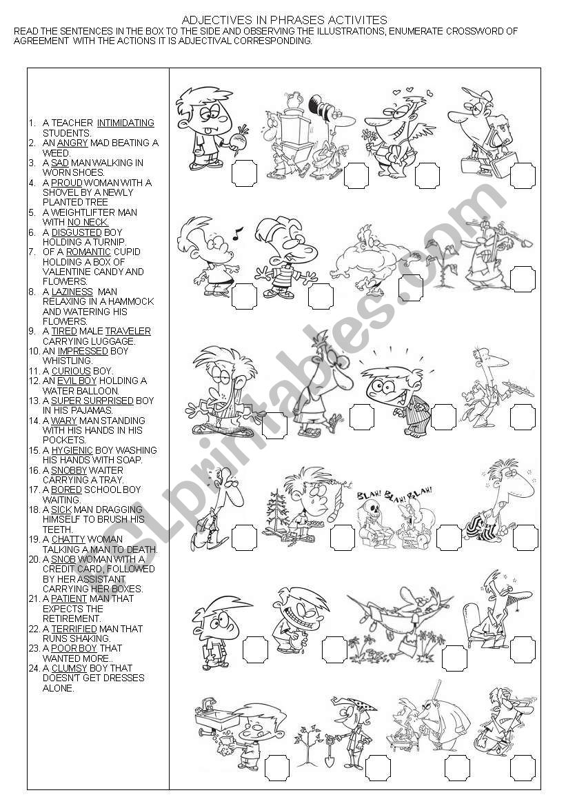 ADJECTIVES IN PHRASES ACTIVITIES + KEY ANSWER