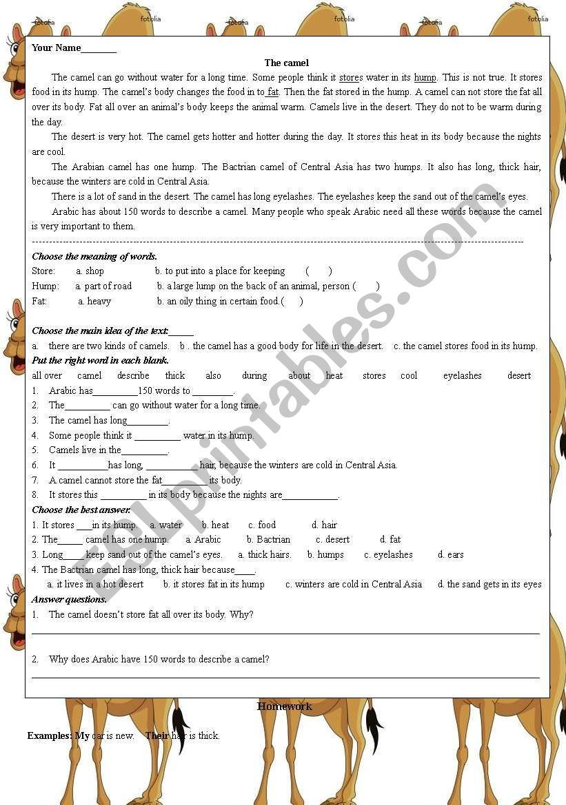 the camel worksheet