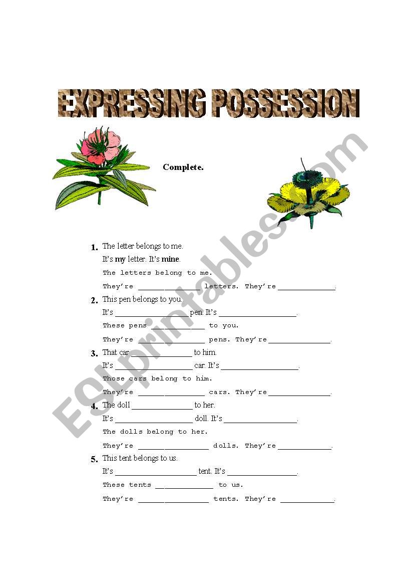 Expressing Possession worksheet