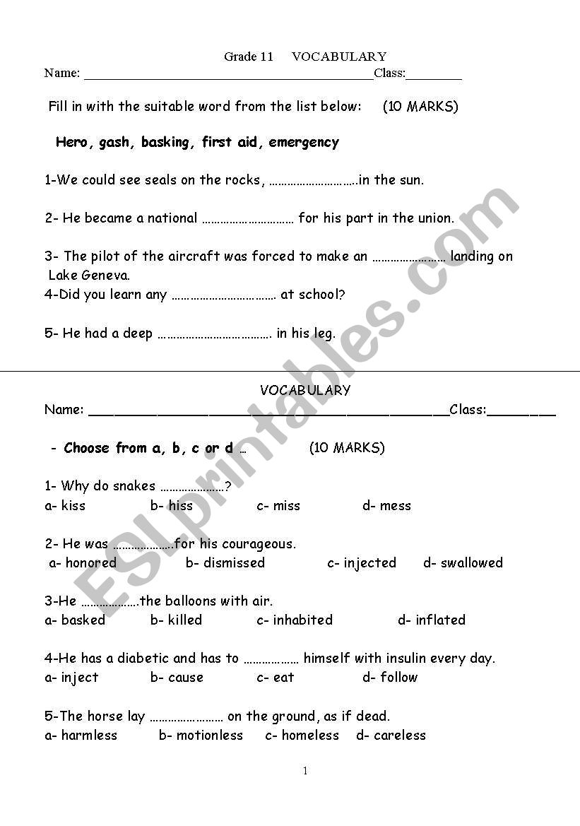 grammar worksheet