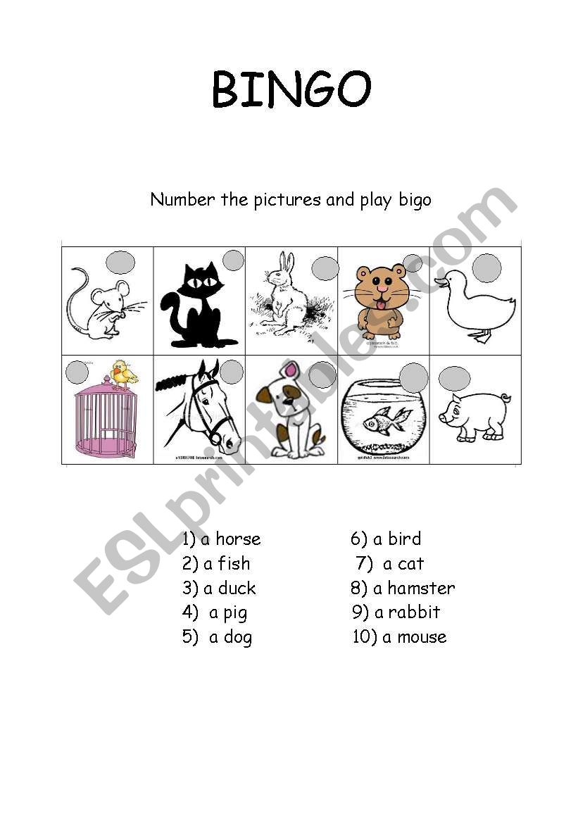 pets bingo worksheet