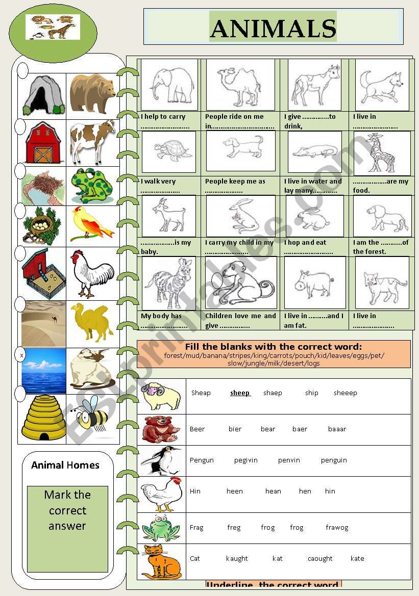 ANIMALS worksheet