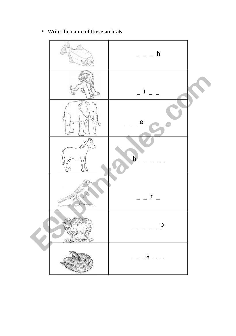 Animals worksheet