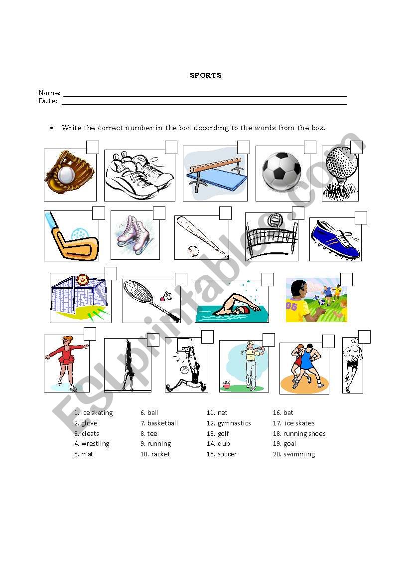 Sports worksheet