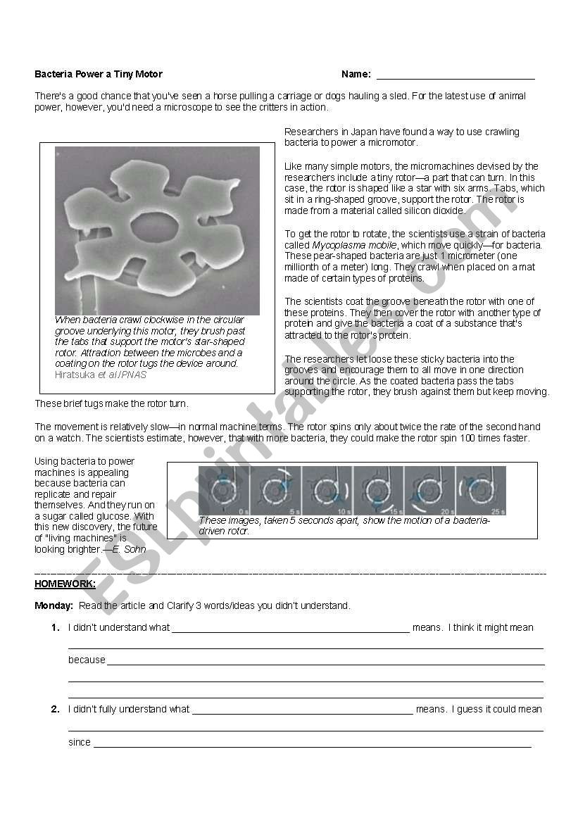 Lean About Bacteria worksheet