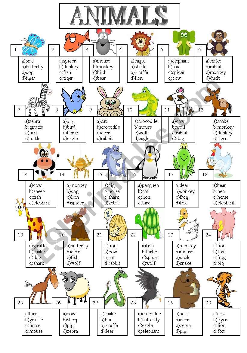 animal worksheet