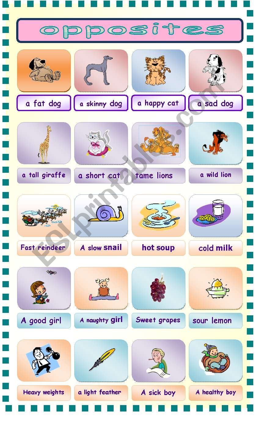 opposites worksheet