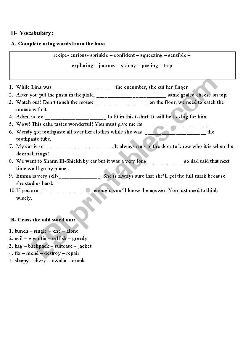Structure, Vocabulary and Editing Exercise