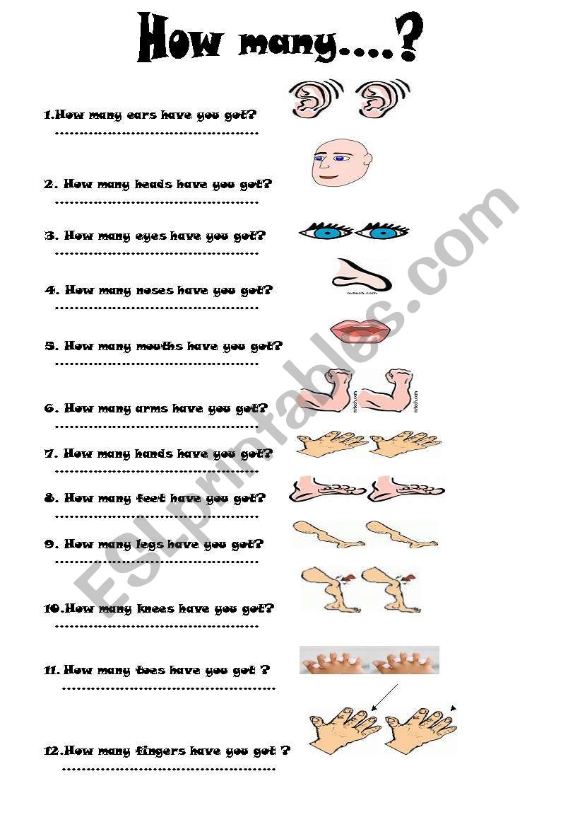 body parts-how many worksheet