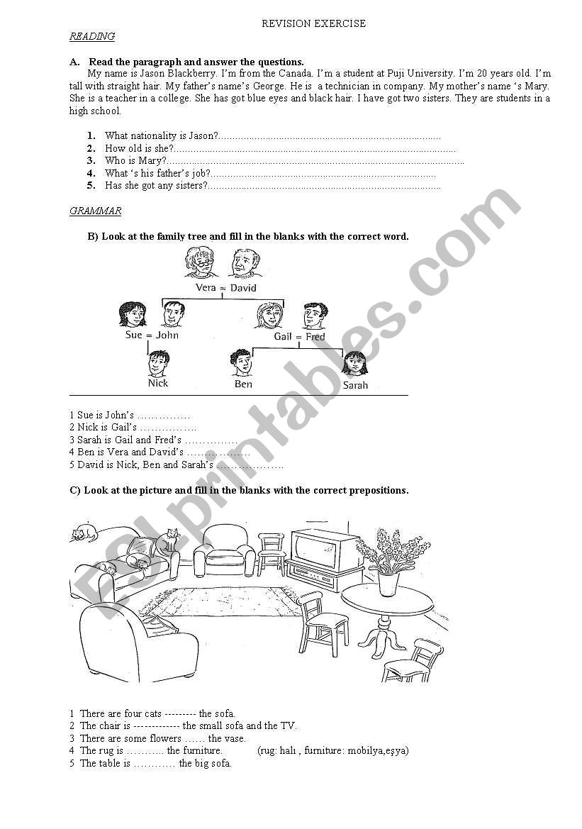 revision exercise worksheet