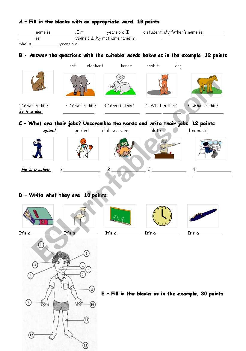 exam for the fourth grade worksheet