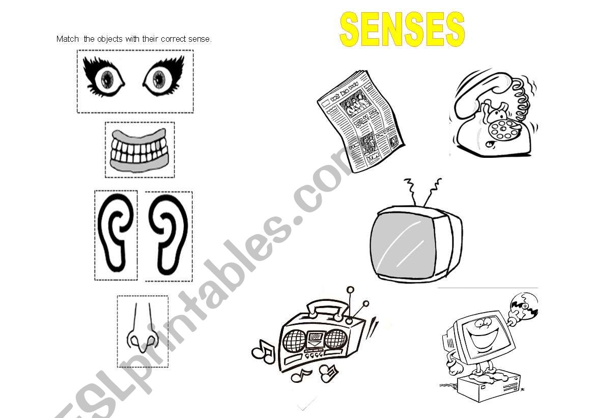 Senses worksheet