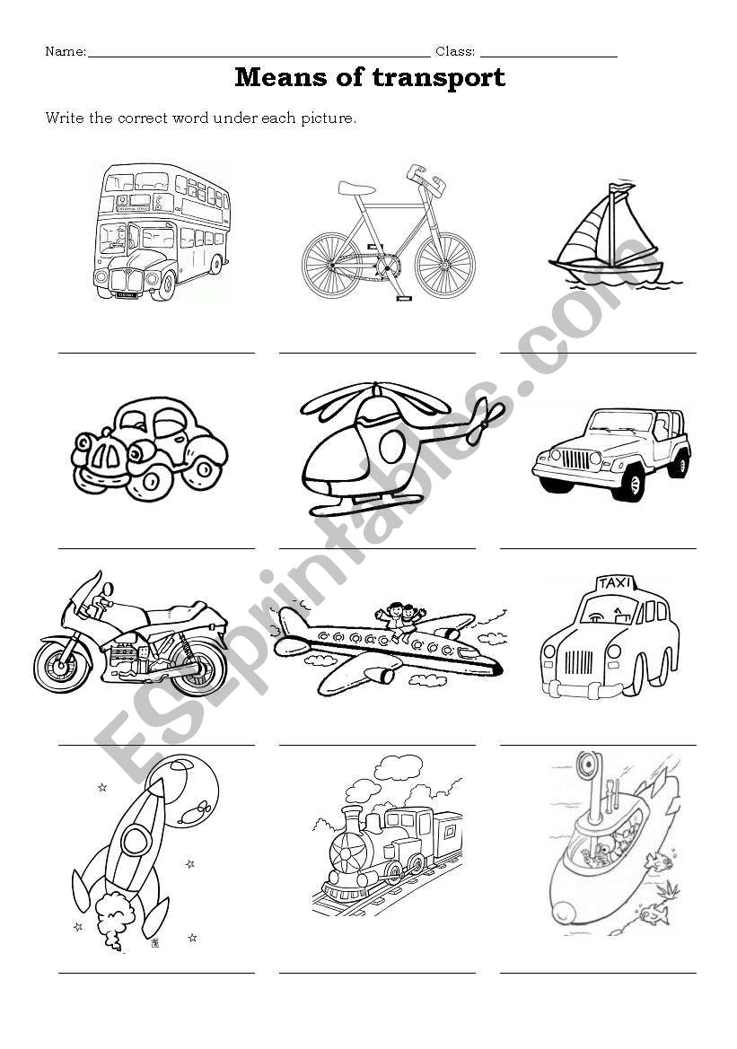 Means of transport worksheet