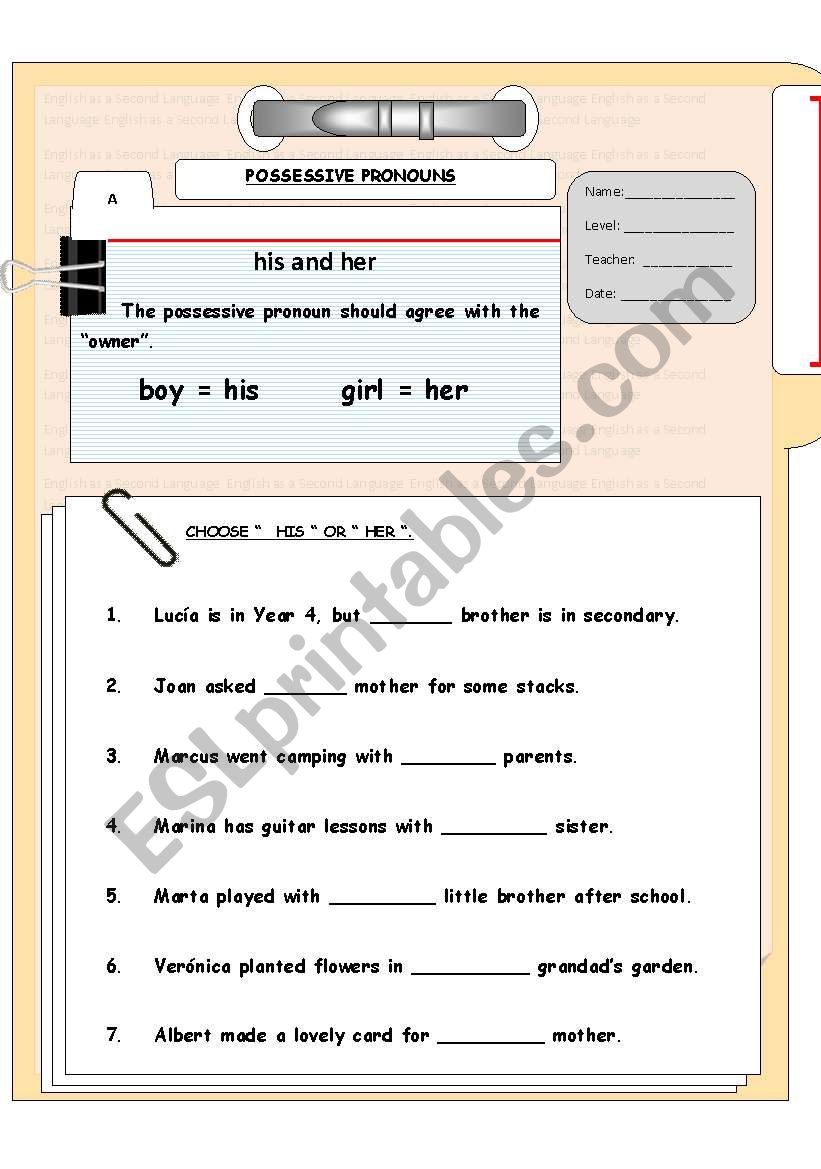POSSESSIVE PRONOUNS  worksheet