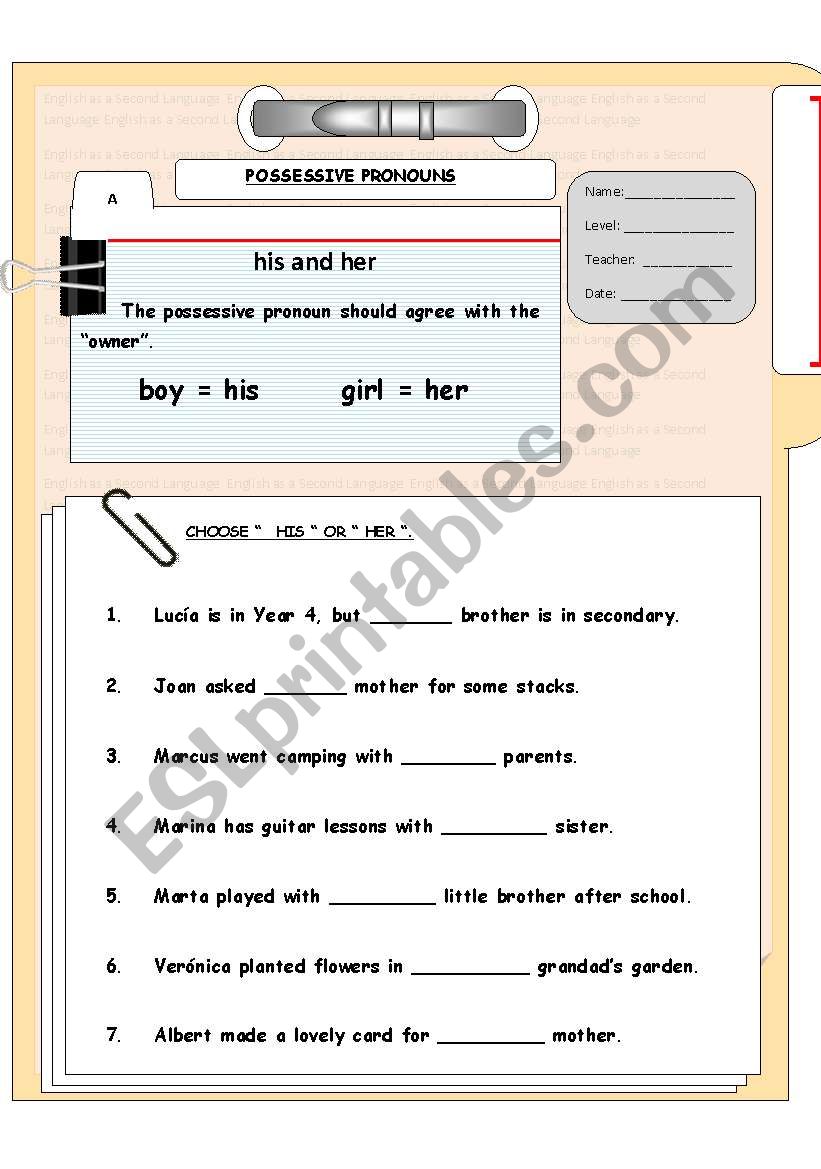 POSSESSIVE PRONOUNS  worksheet