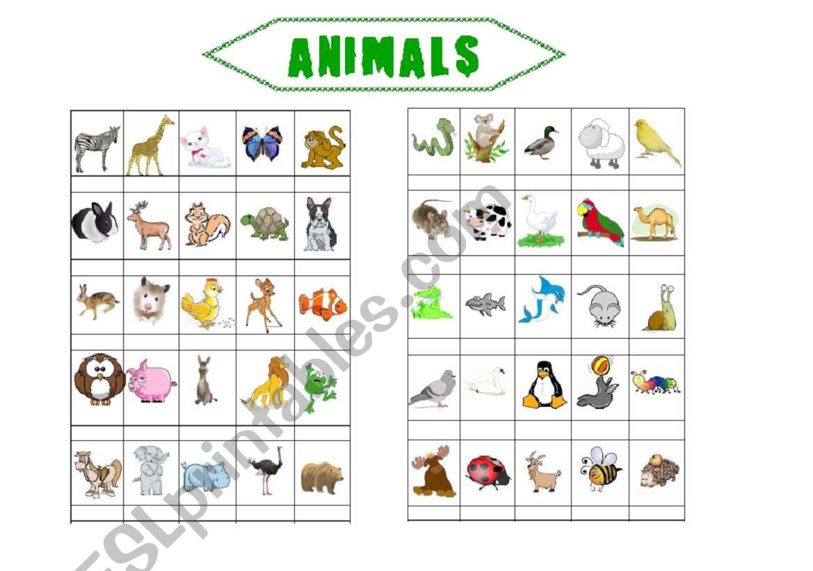 Animals (2 pages) worksheet