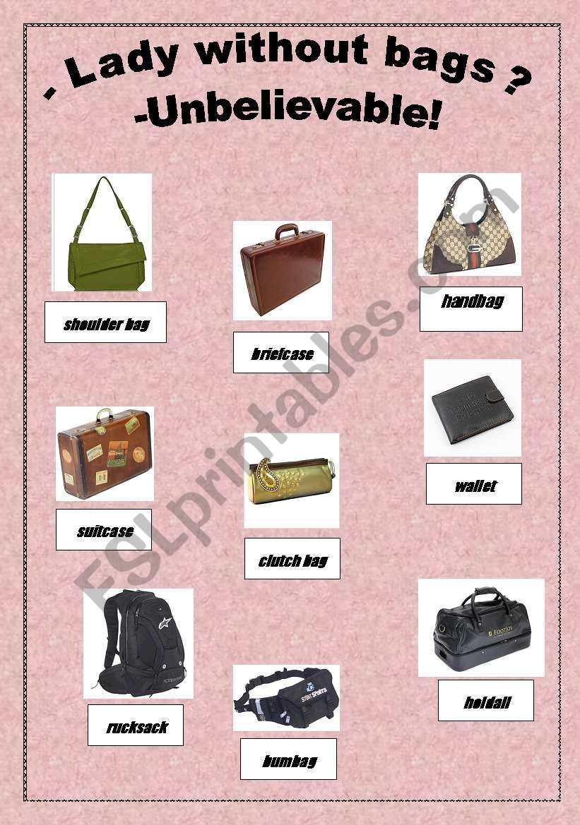 all types of bags worksheet