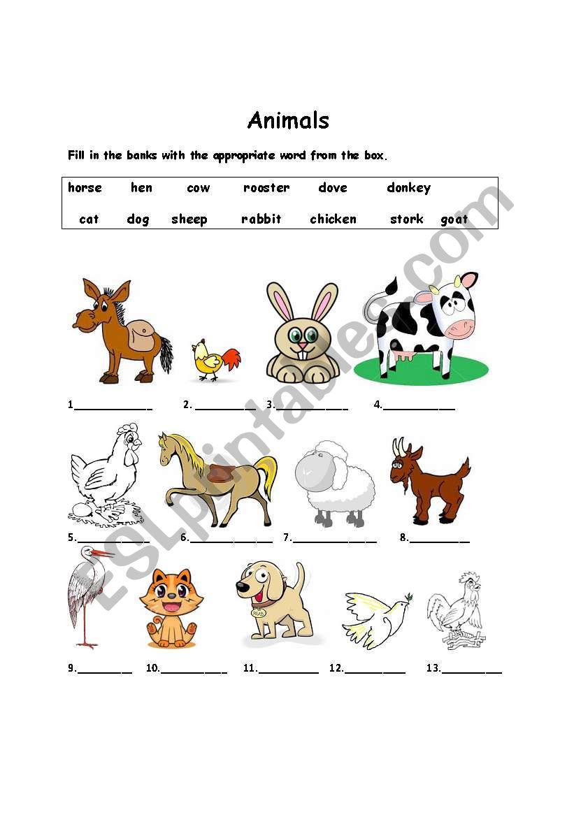 Animals vocabulary worksheet