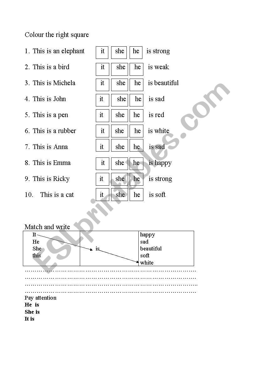 write sentences worksheet