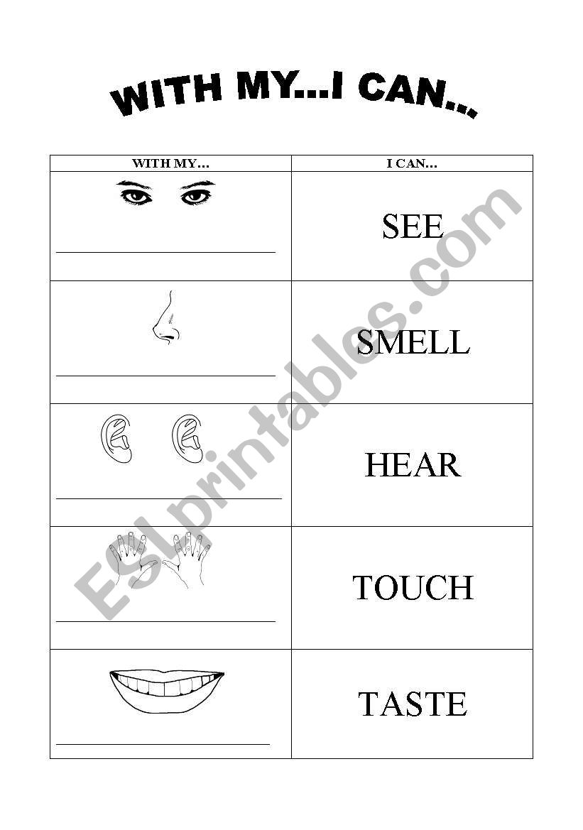 five senses worksheet