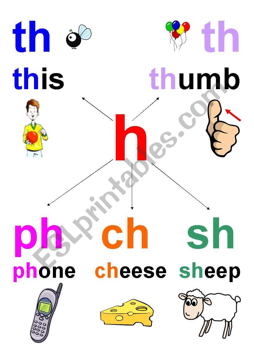 th ph ch sh worksheet