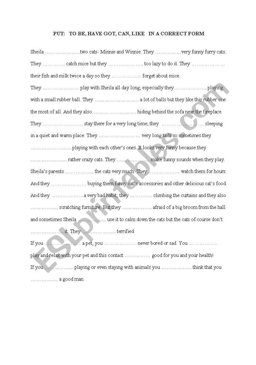 cats-elementary grammar worksheet