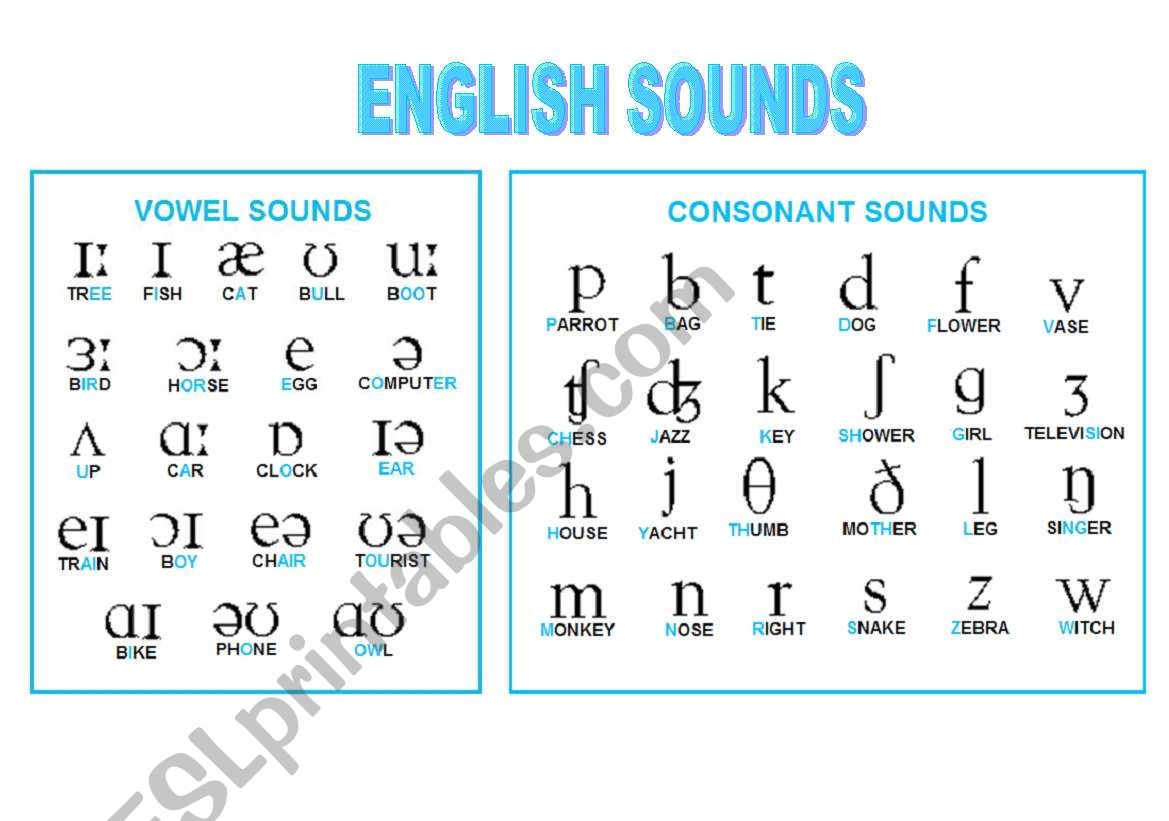 Phonetic Symbols Chart worksheet