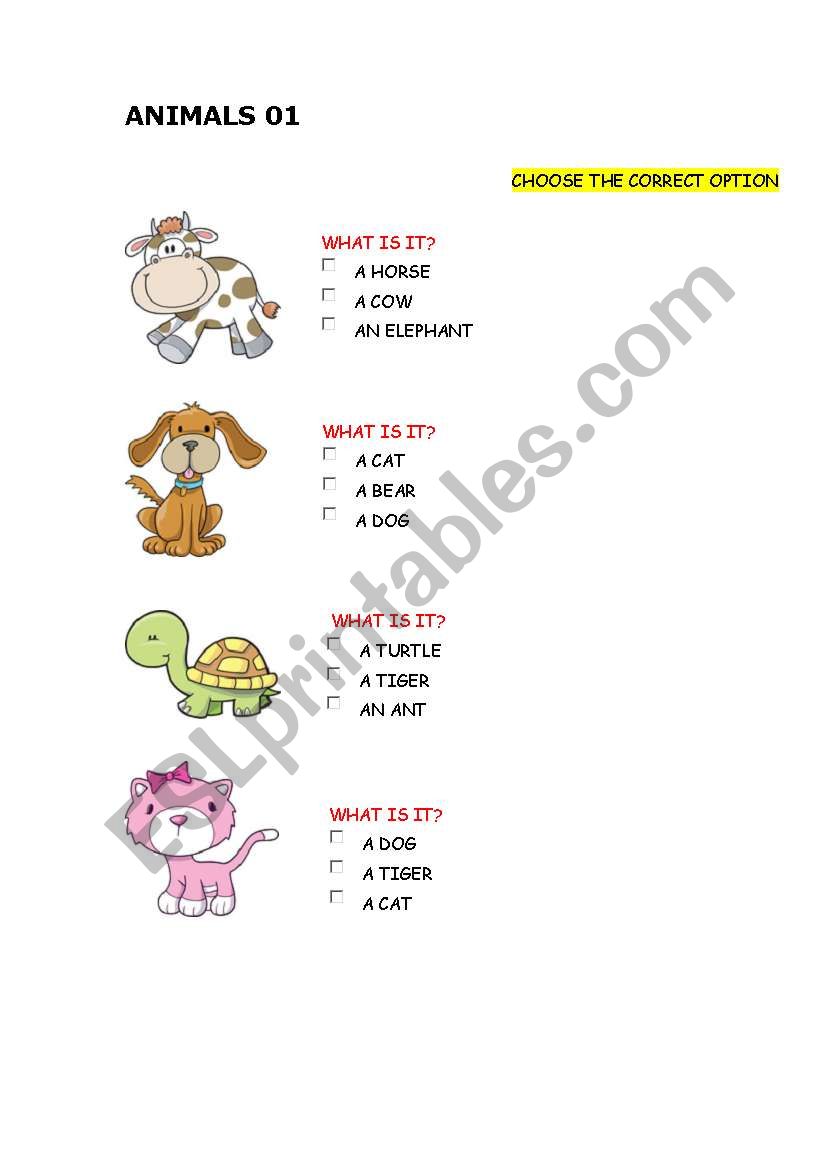 animals worksheet