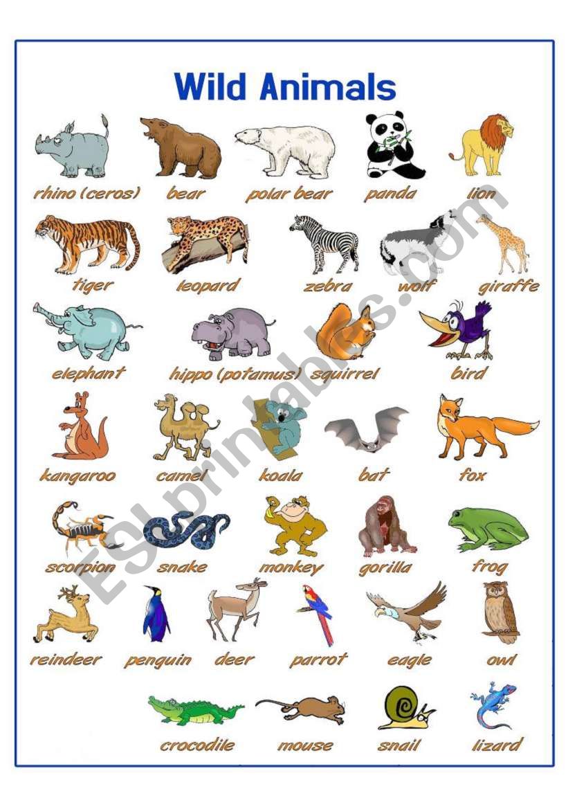 farm animals and letters worksheet for kindergarten - wild animals