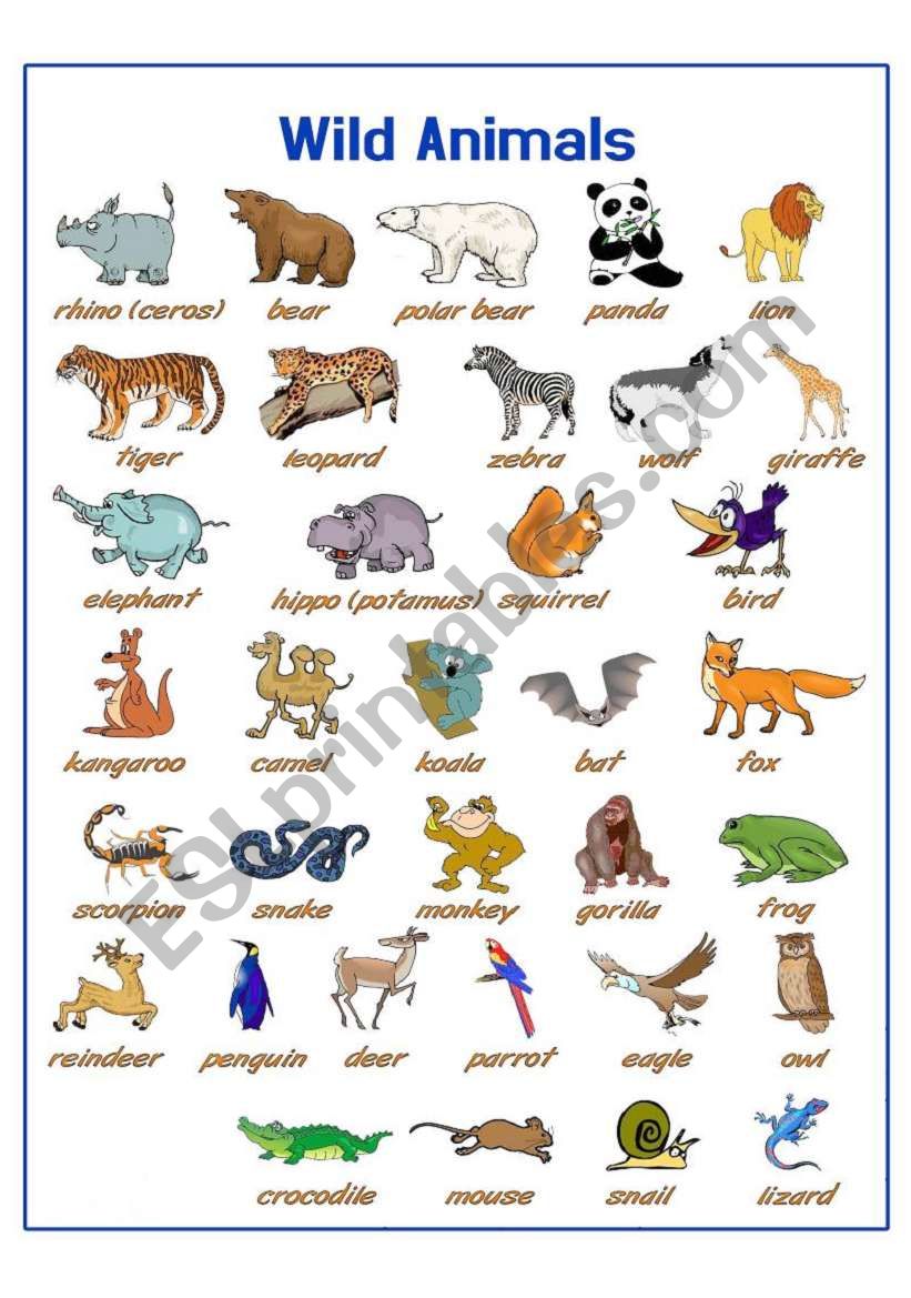 Wild Animals - ESL worksheet by Madalina2009