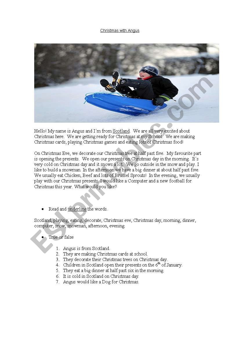 Christmas with Angus worksheet