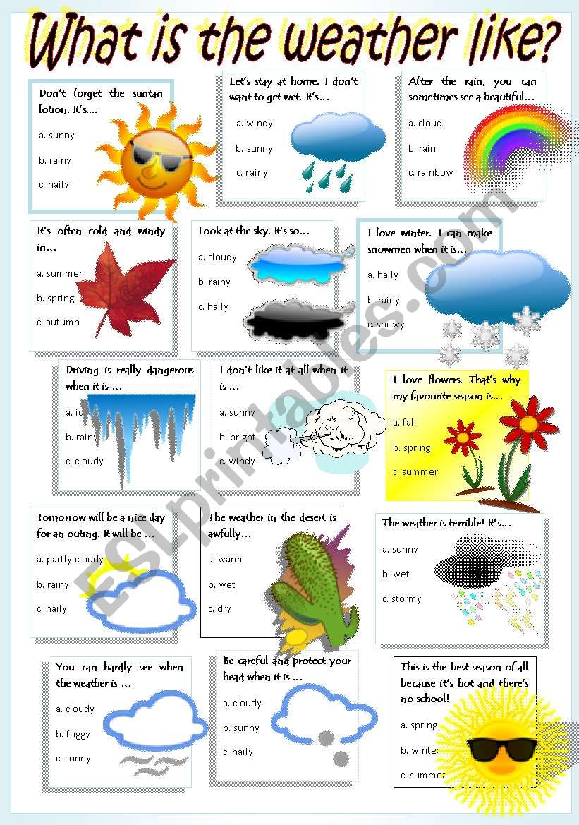 WEATHER & SEASONS worksheet