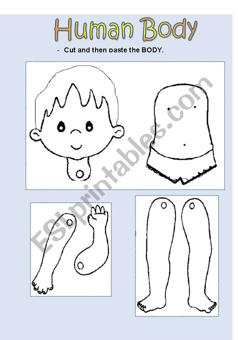 Human Body (Boy) worksheet