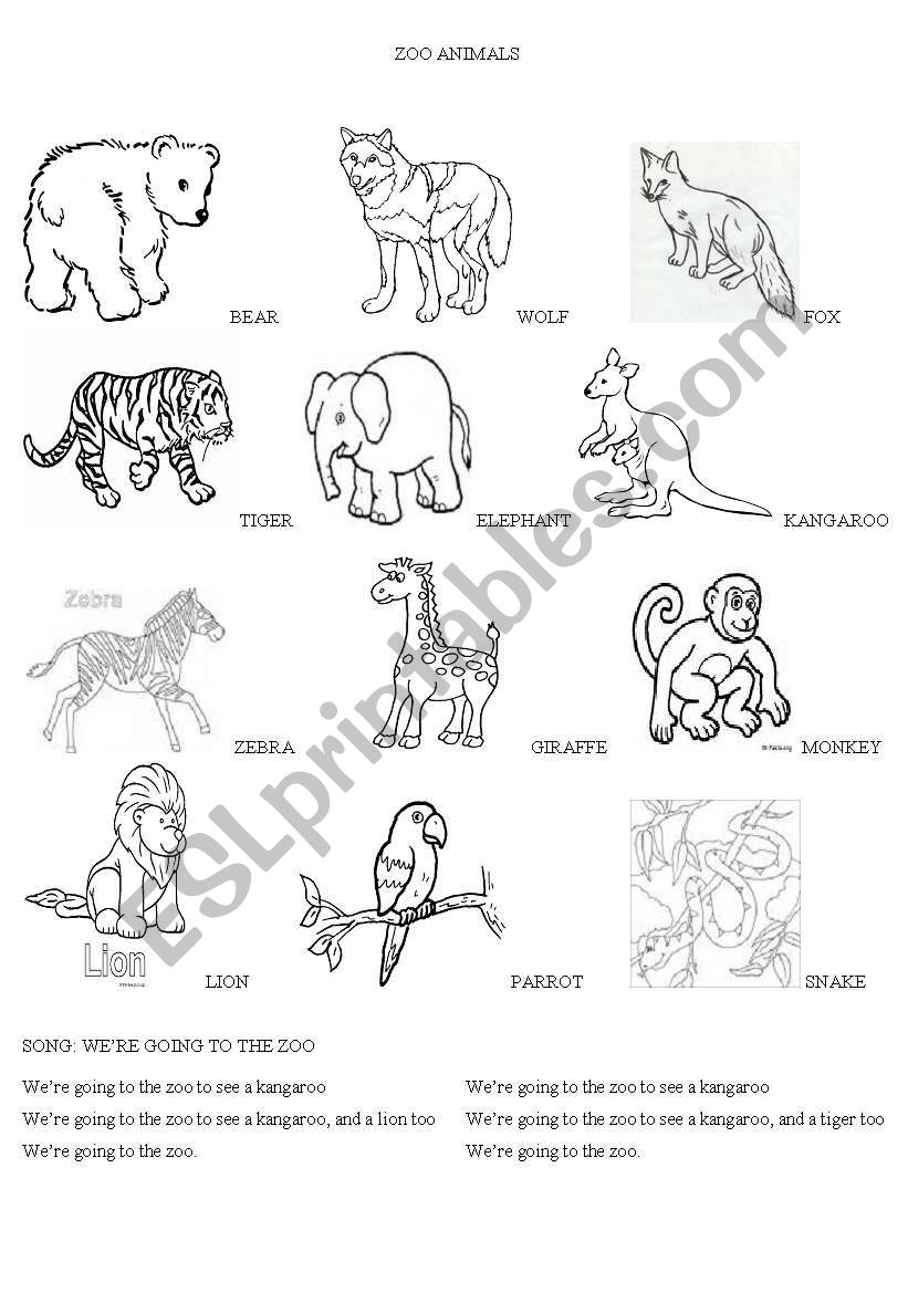 Zoo animals worksheet