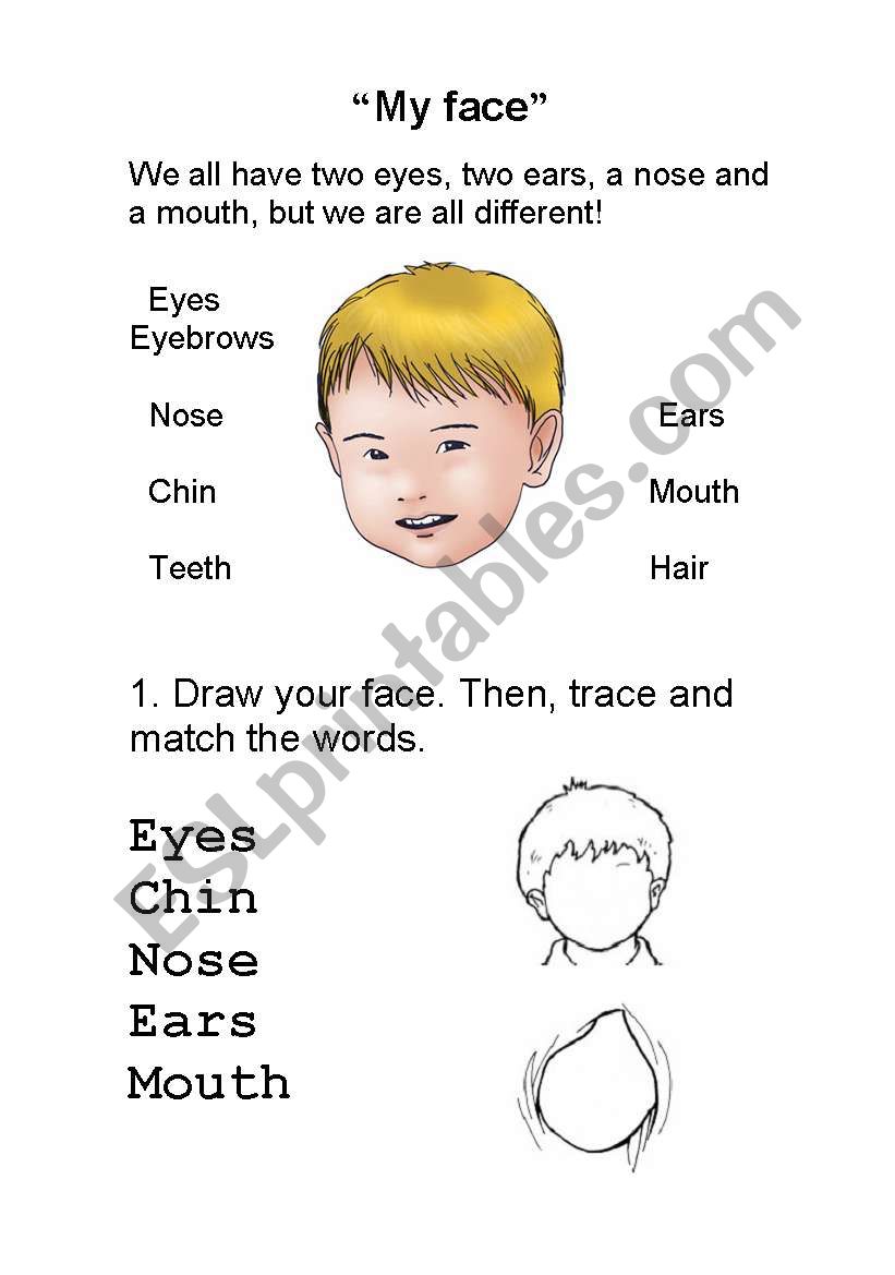 My face worksheet