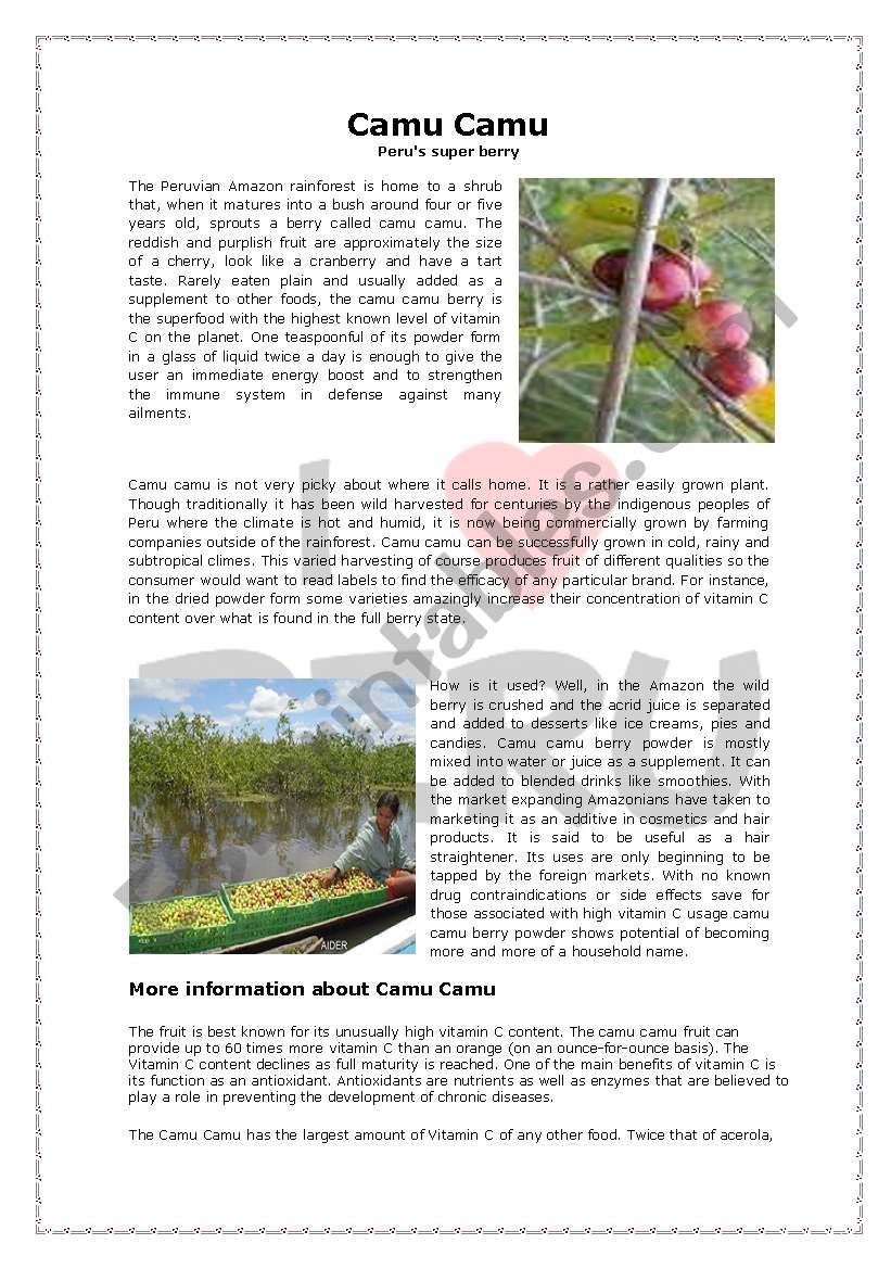 Camu Camu (PeruÂ´s super berry)